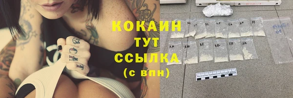 прущий лед Липки