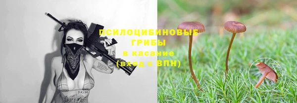 трава Армянск