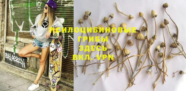прущий лед Липки